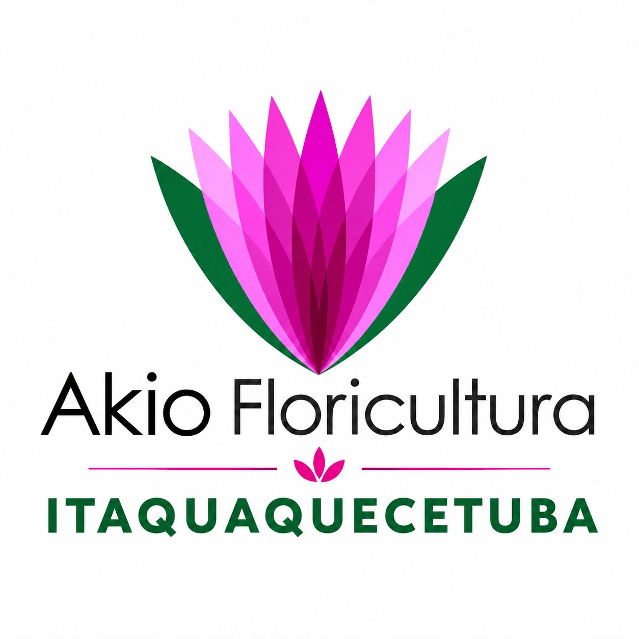Akio Floricultura Itaquaquecetuba